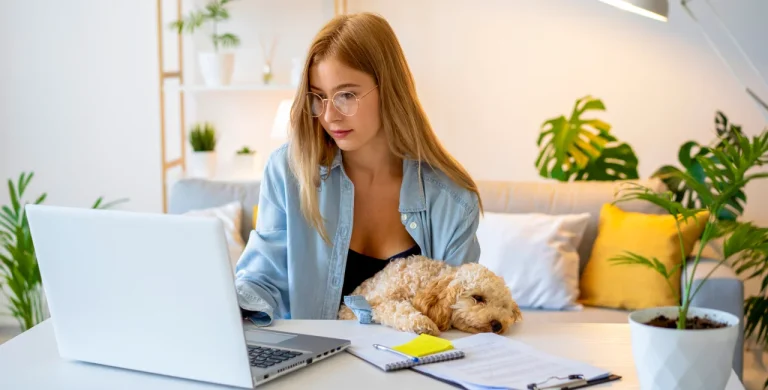 Freelancers social insurance