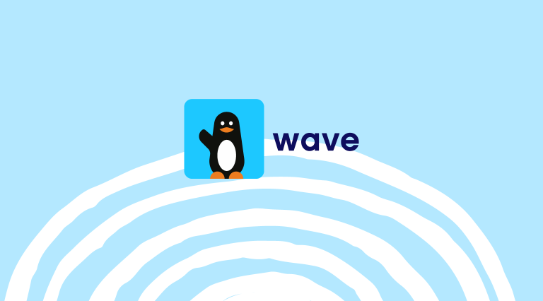 Benefits of Using Wave Payment Platform